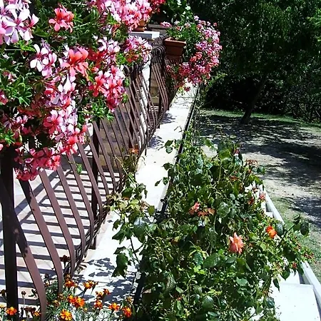 B&B Casa Lieta 3*